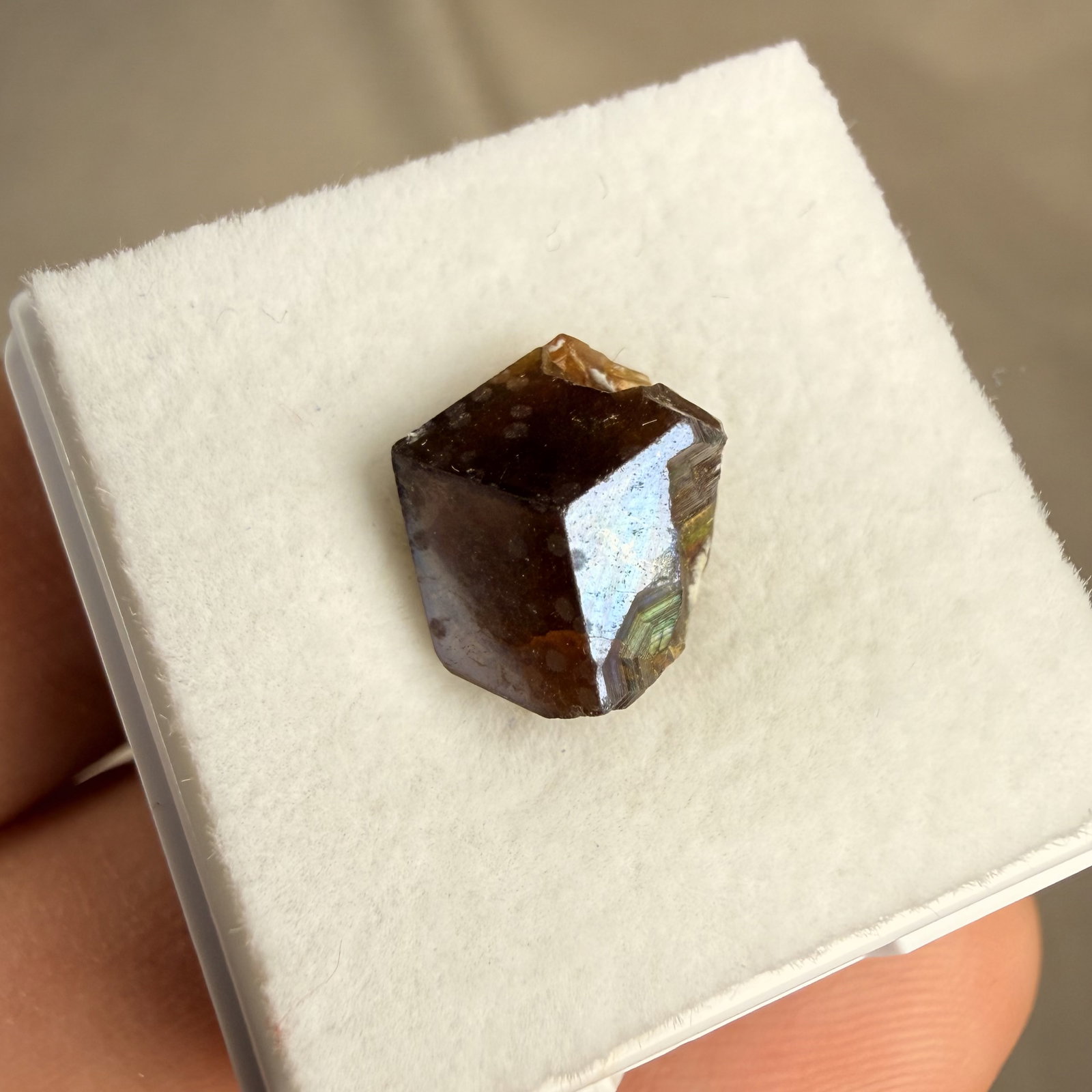 Irisiderende Andradiet kristal - 2