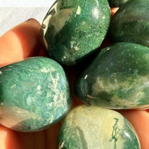 Alternative view of Trommelstenen - Mos agaat - maat medium