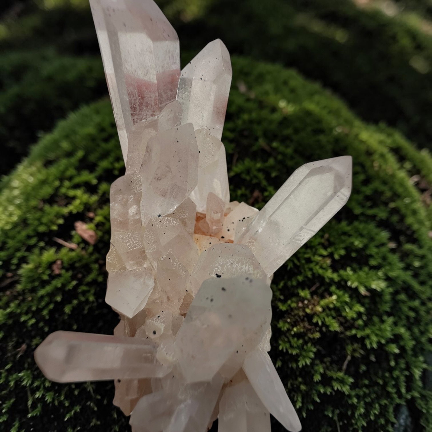Himalaya kwarts cluster - 6 - Afbeelding 2