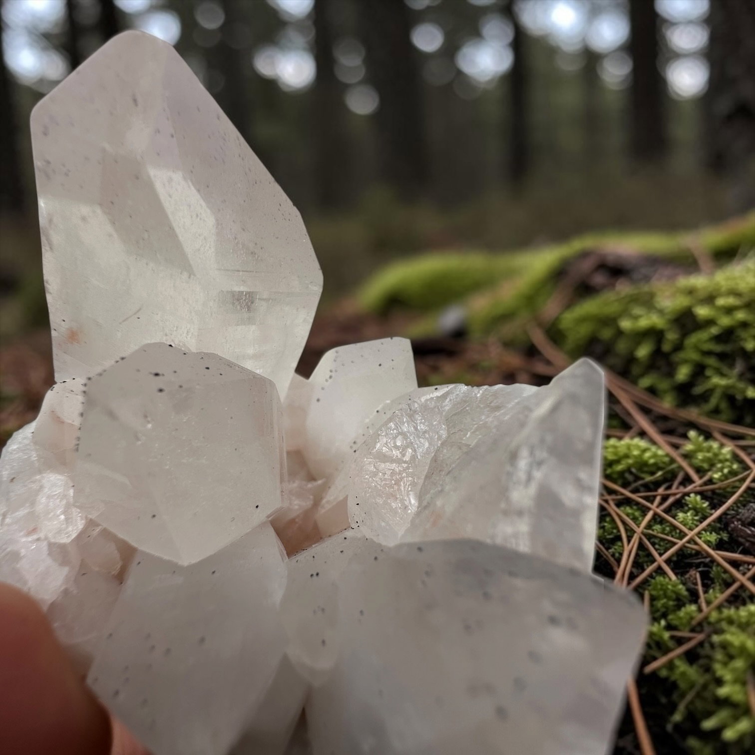 Himalaya kwarts cluster - 7 - Afbeelding 2