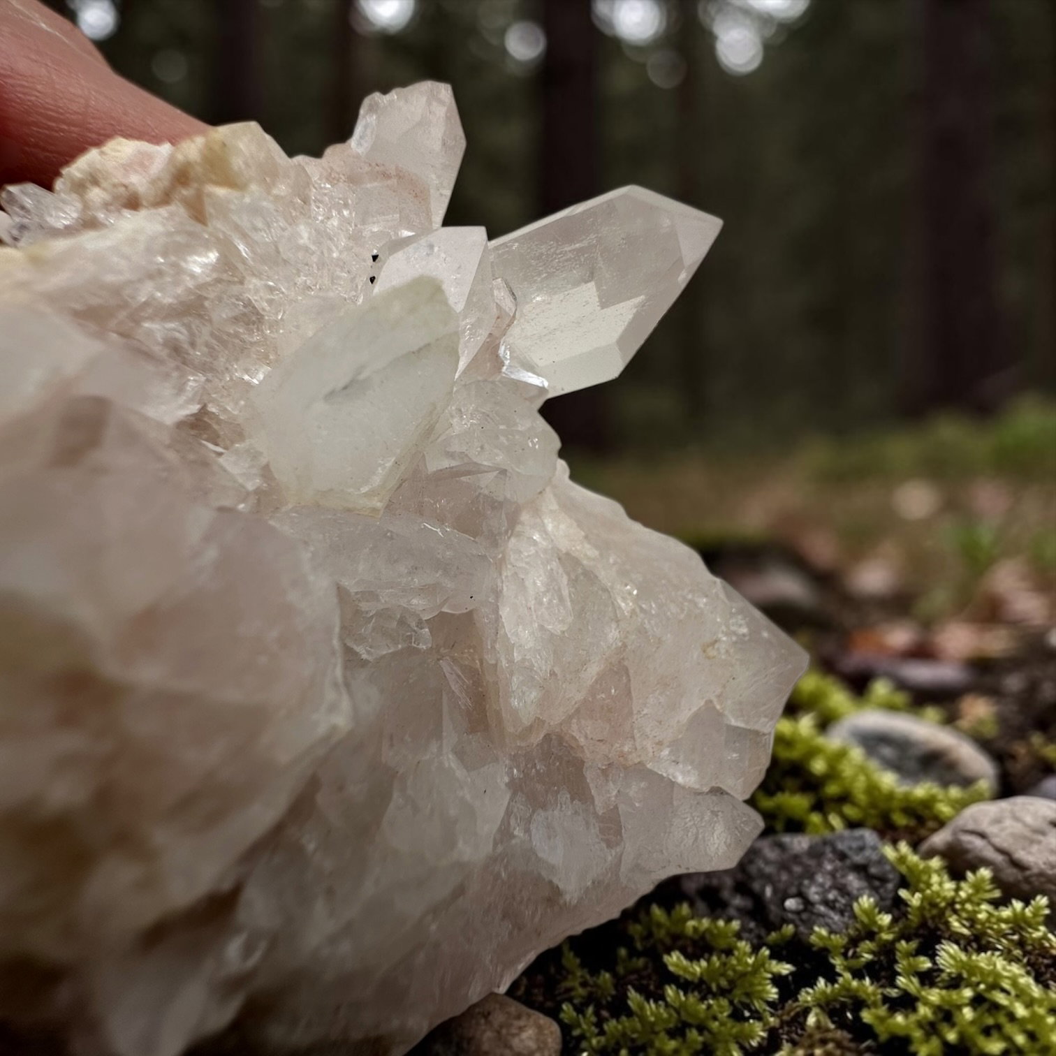 Himalaya kwarts cluster - 9 - Afbeelding 2