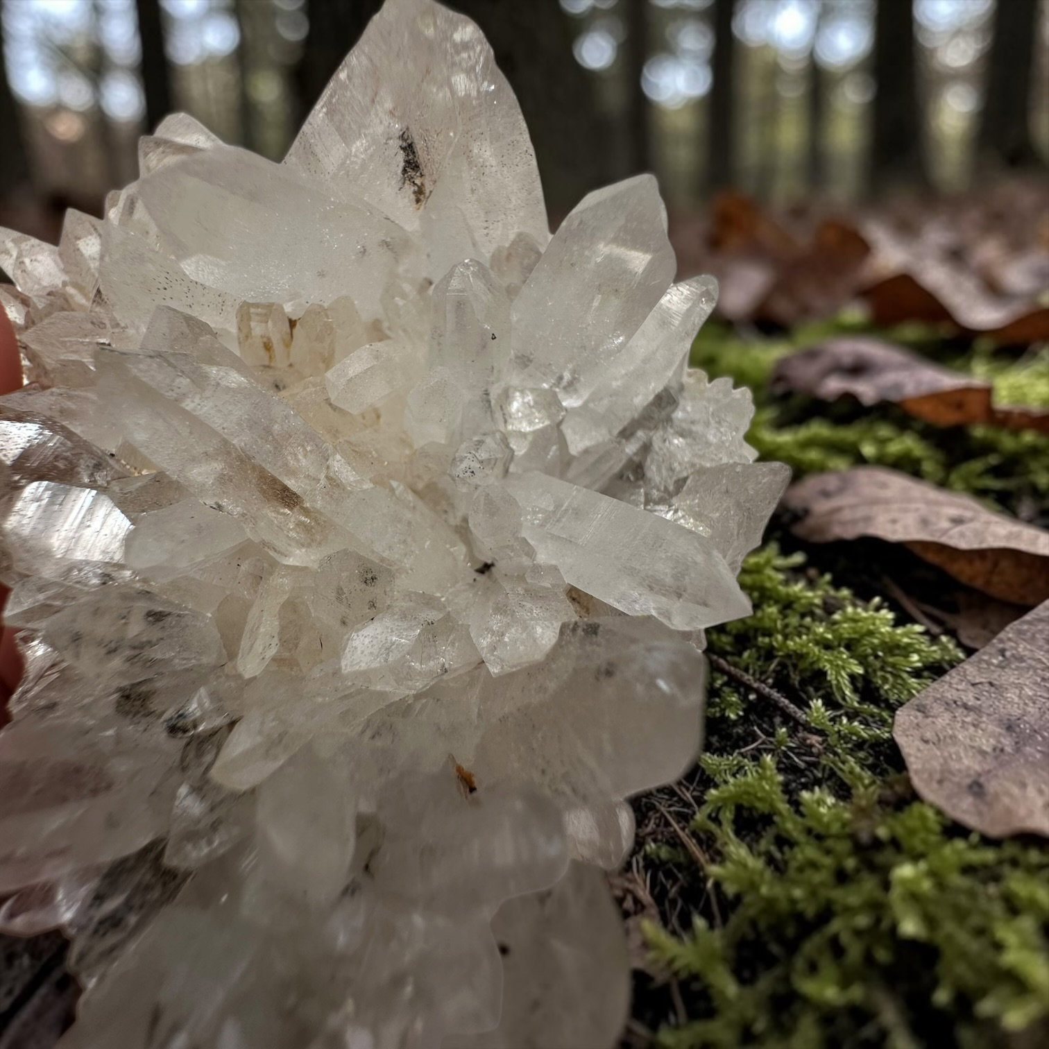 Himalaya kwarts cluster - 10 - Afbeelding 2