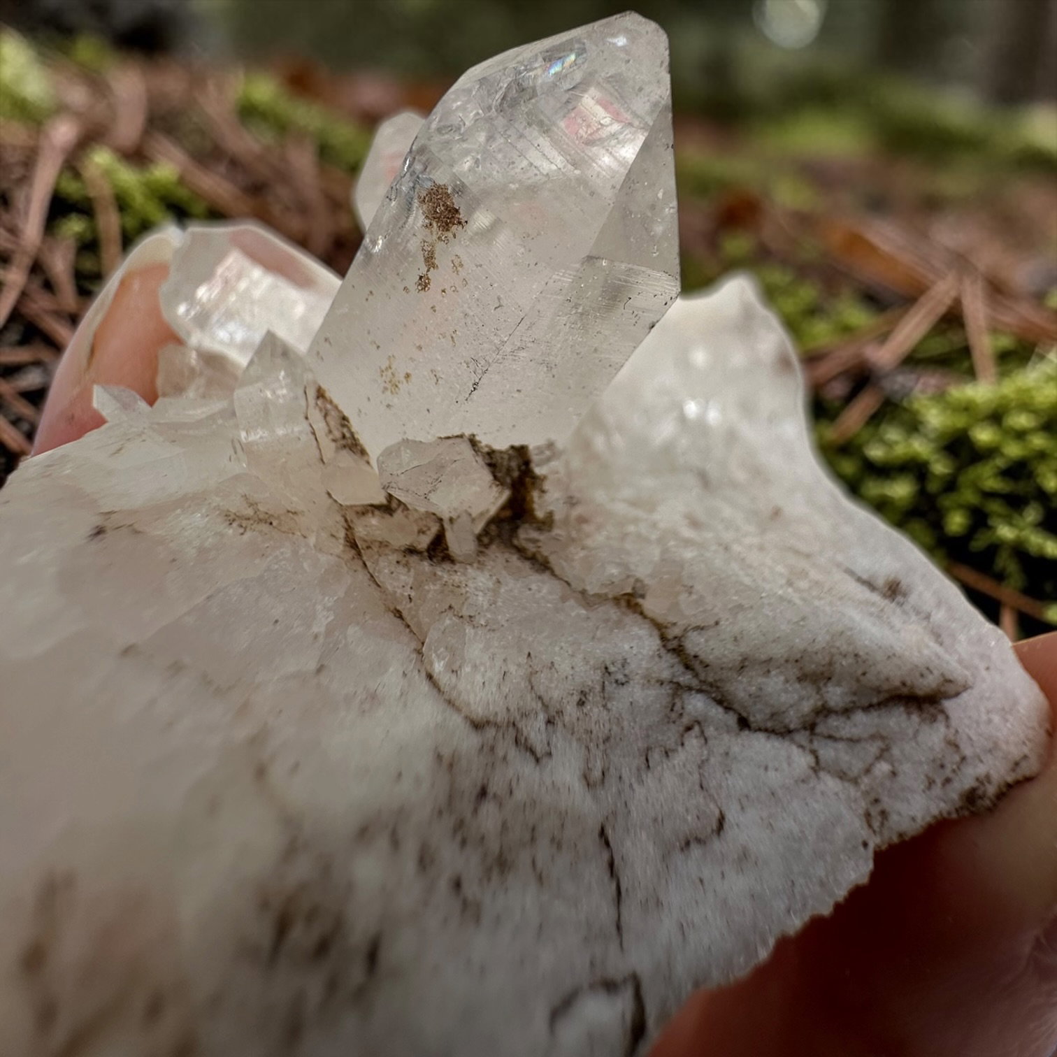 Himalaya kwarts cluster - 14 - Afbeelding 2