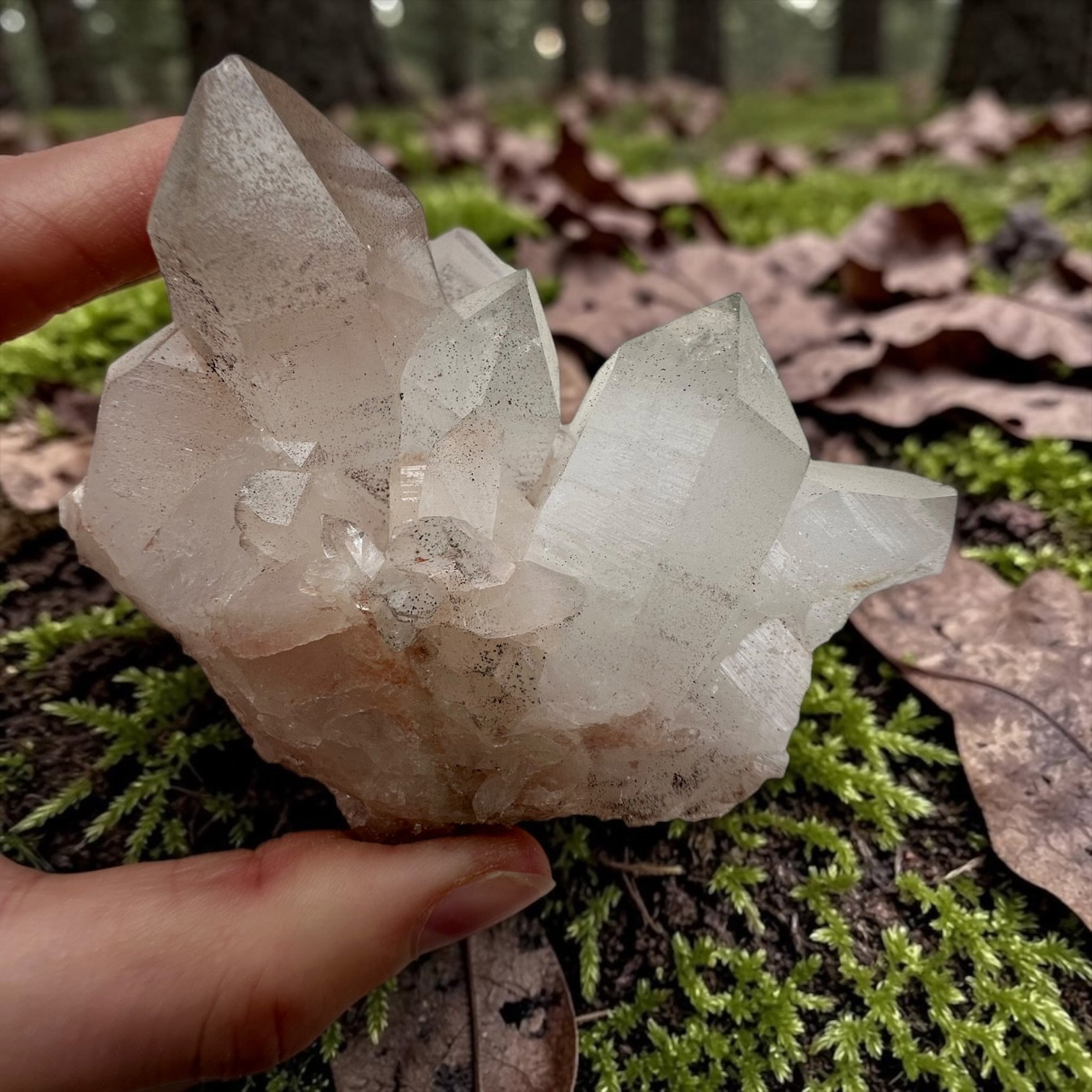Himalaya kwarts cluster - 19