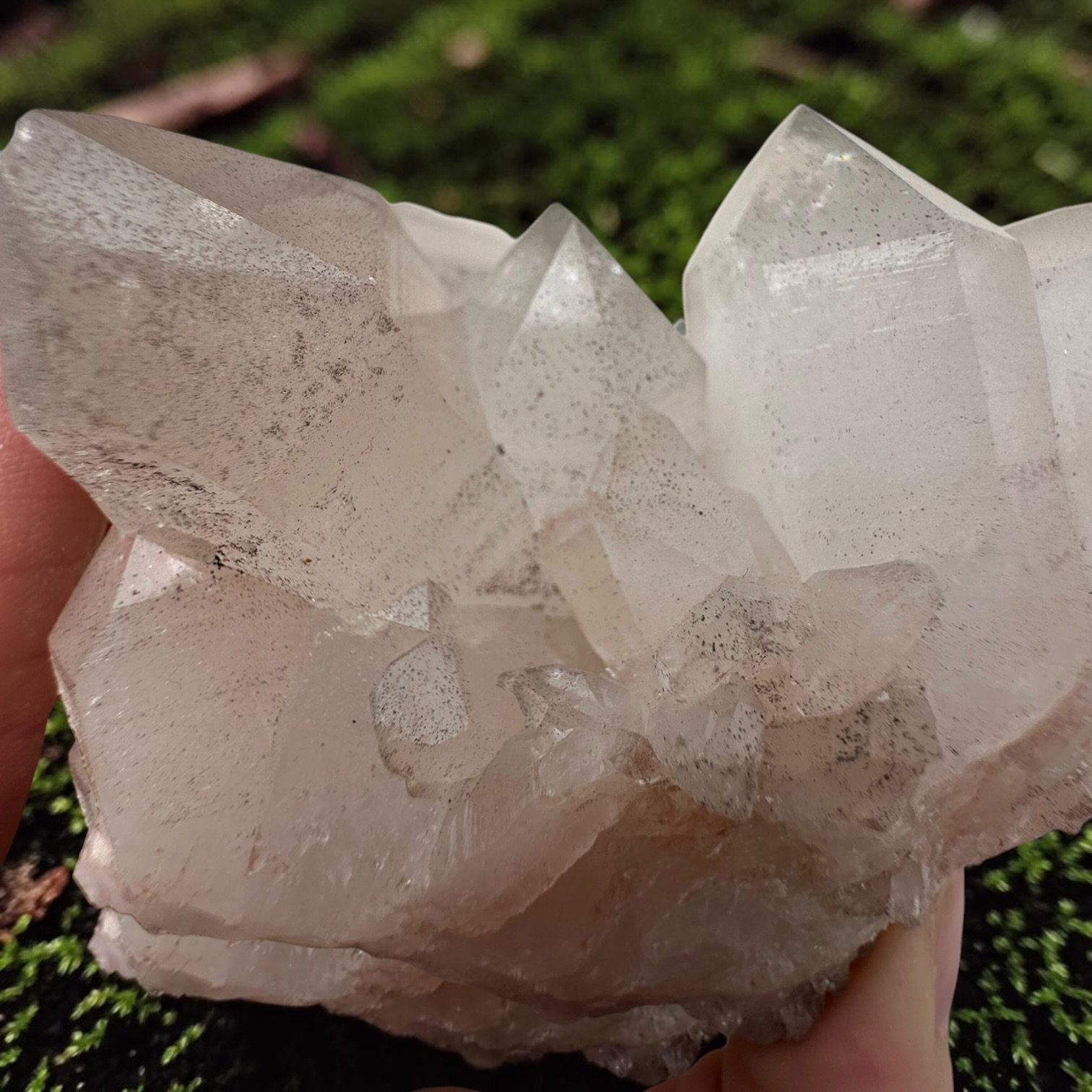 Himalaya kwarts cluster - 19 - Afbeelding 2