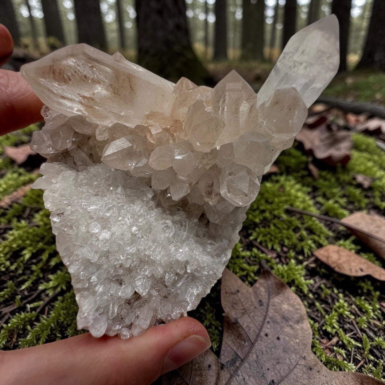 Himalaya kwarts cluster - 22