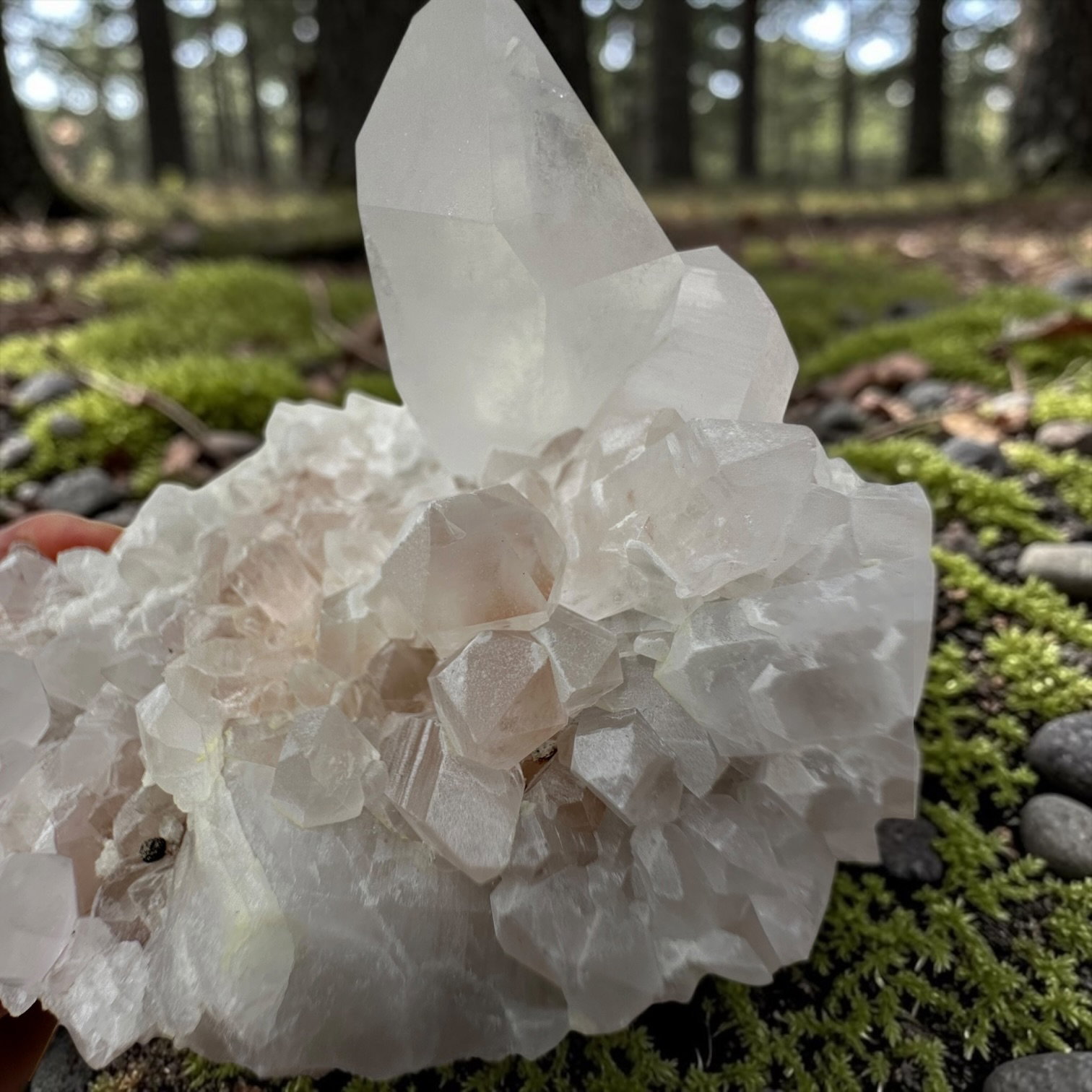 Himalaya kwarts cluster - 34 - Afbeelding 2