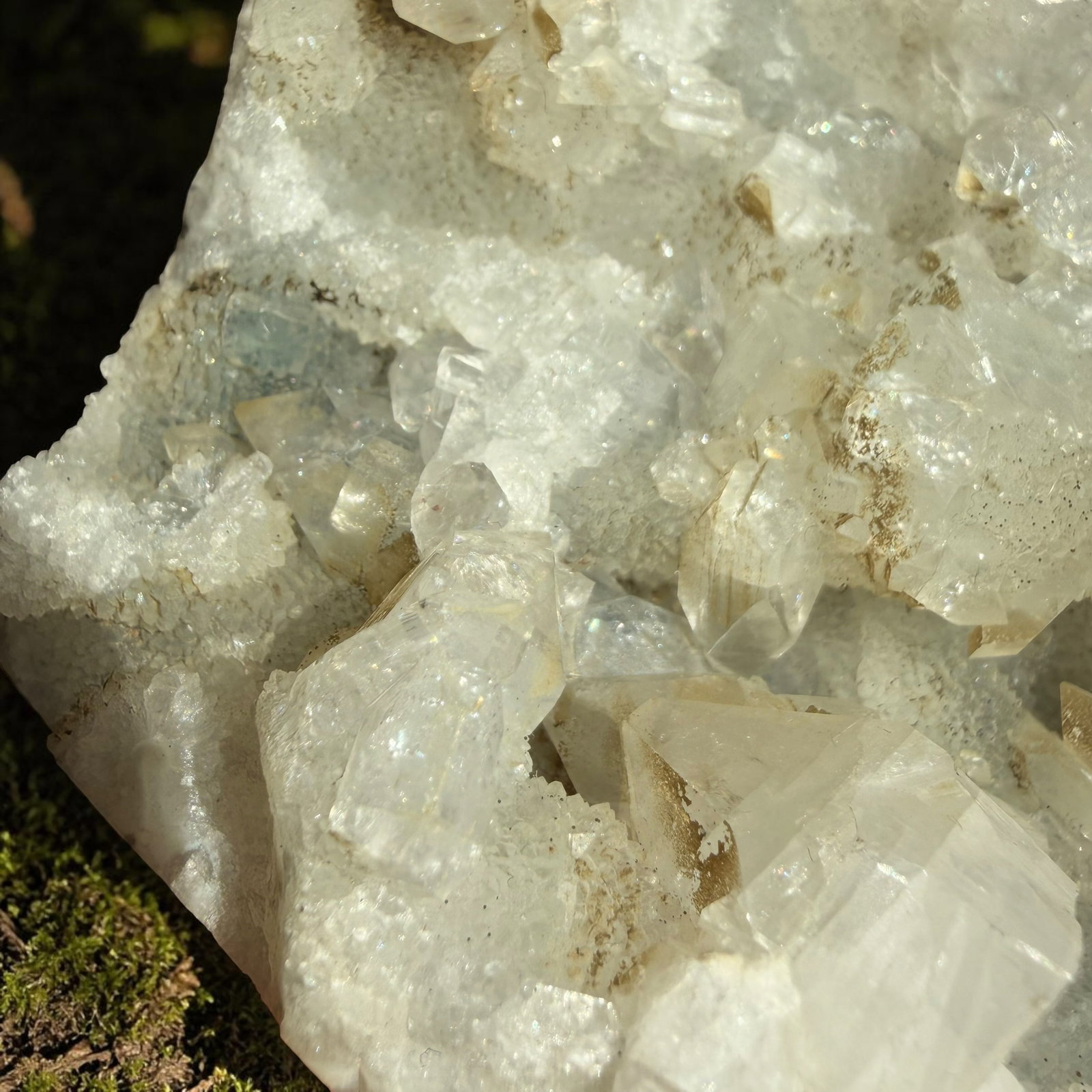 Apofyliet cluster - 40 - Afbeelding 2