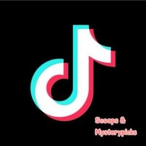 TikTok lives